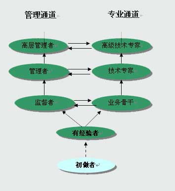 Dual Channels